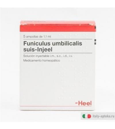 Funiculus Umbelicalis Suis 10fiale Heel