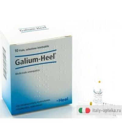 Galium Heel 10 Fiale 1,1ml