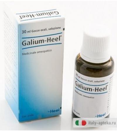 Galium-Heel 30ml
