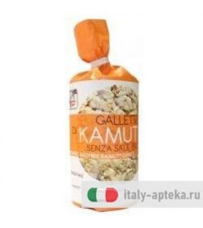 GALLETTE KAMUT S/SALE BIO 100G
