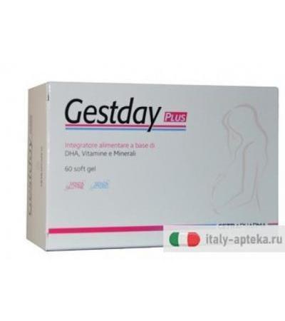 GESTDAY PLUS 60SOFT GEL