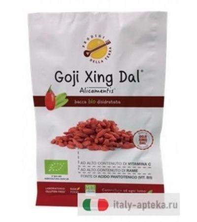 Goji Alicamentis Bio 25g