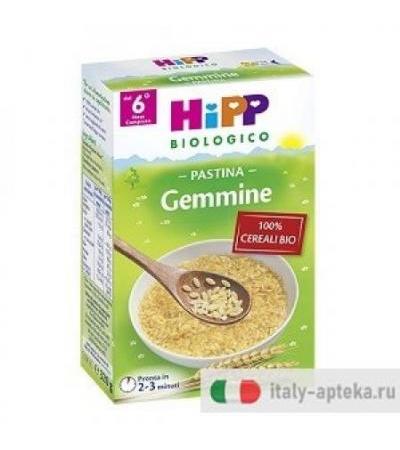 HIPP BIO PASTINA GEMMINE 320G