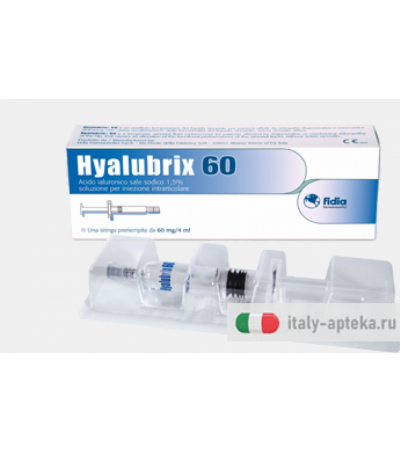 Hyalubrix 60 Siringa 60mg/4ml 1 Pezzo