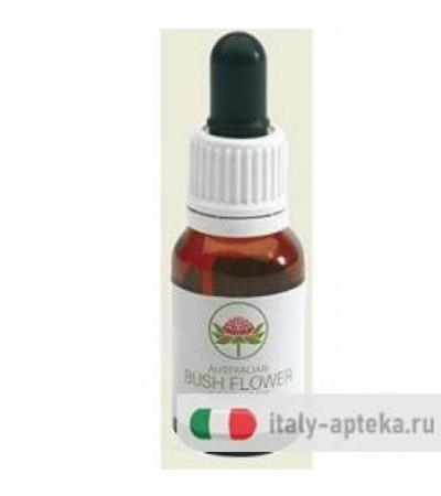 JACARANDA AUSTRALIAN 15ML GTT
