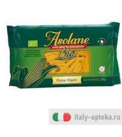 LE ASOLANE BIO PENNE RIGATE250