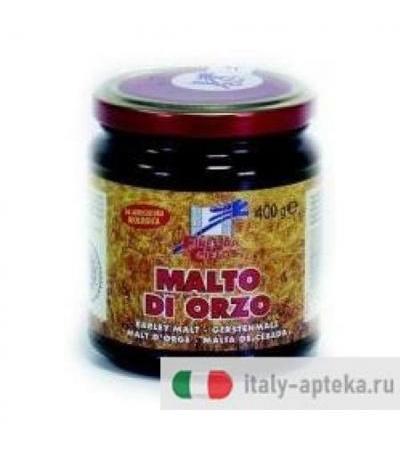 MALTO DI ORZO BIO 400G