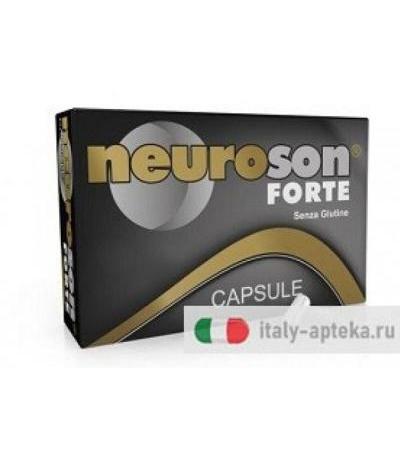 Neuroson Forte 30Capsule
