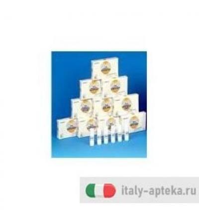 NOMABIT CERATO GL 6G