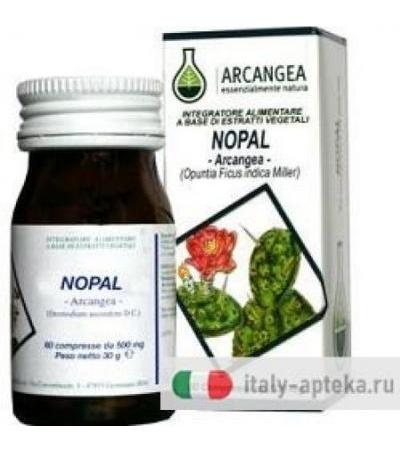 NOPAL 60CPS 500MG