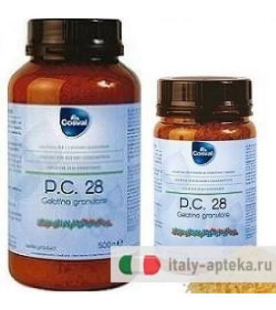 PC 28 GELATINA GRANULARE 500G