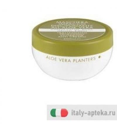 PLANTERS ALOE MASCH DISCIPLIN