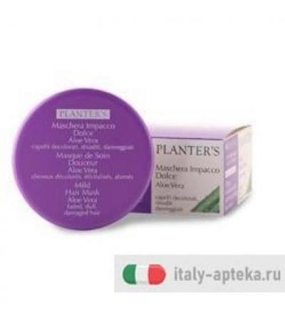 PLANTERS MASCH IMP DOLCE ALOE