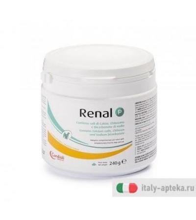 RENAL P 240G