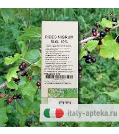 Ribes Nigrum Oti Macerato Glicerico Gocce 100 ml