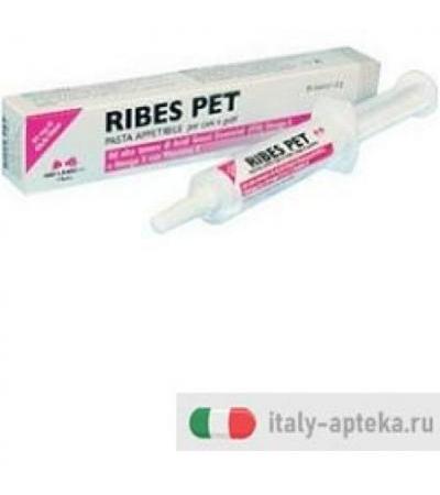 RIBES PET PASTA 30G