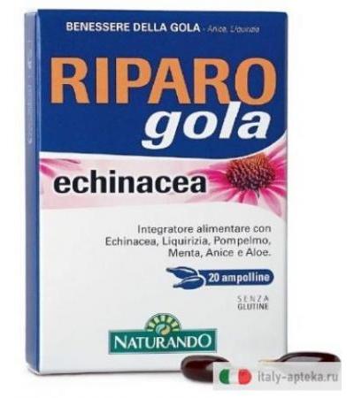 RIPARO GOLA ECHINACEA 20AB