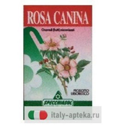 ROSA CANINA ERBE 75CPS