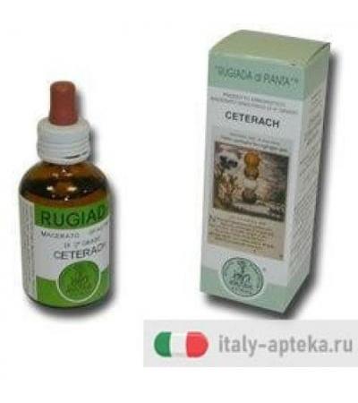 RUGIADA CETERACH 50ML GTT