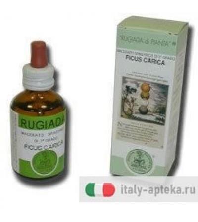 RUGIADA FICUS CARICA 50ML