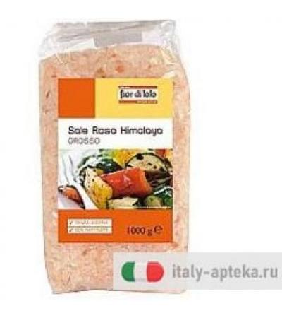 SALE HIMALAYA GROSSO 1000G