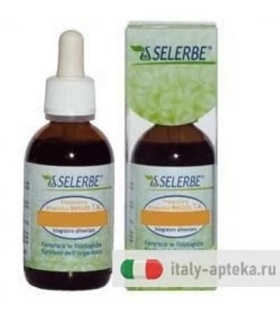 SELERBE RIBES NE 50ML TM