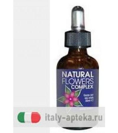 STUDENTS NATURAL FLOWER COMPLE