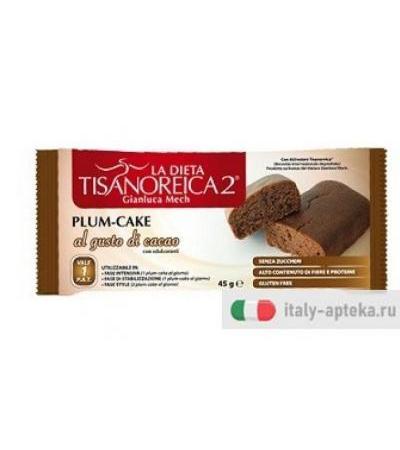 Tisanoreica 2  Plum-Cake Cacao 45g