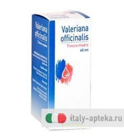 Valeriana Officinalis TM 60ml