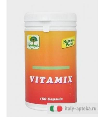 Vitamix 150cps