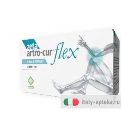 ZETA ARTRO CUR FLEX 20STICK