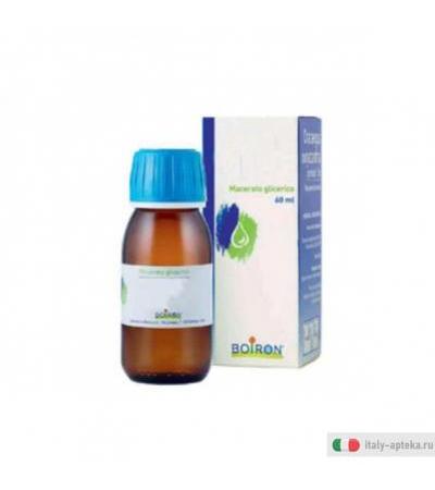 boiron olea europaea macerato glicerico - 60 ml .