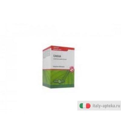 caigua capsule monoplanta con inuzyme®.