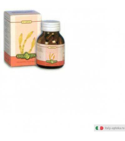 desmodium adscendens capsule