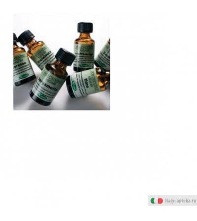 eucalipto olio essenziale