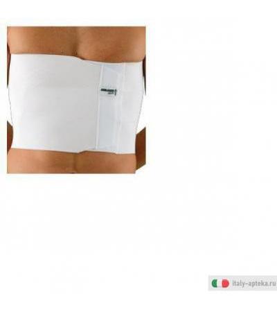 gibaud ortho cintura toracica regolabile 3 o 4 bande