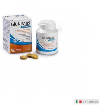 glutamax supplemento nutrizionale utile in tutti gli animali sottoposti a