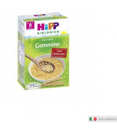 Hipp Pastina Gemmine - dal Sesto mese - 320 g