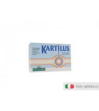k artilus integratore alimentare a base di cartilagine di squalo e vitamina c.