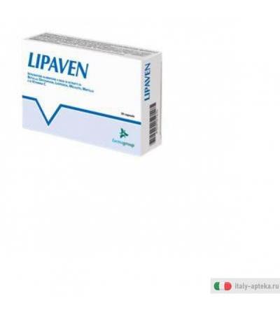 lipaven integratore a base di lespedeza, orthosiphon, betulla, mirtillo, meliloto e vitamina c,