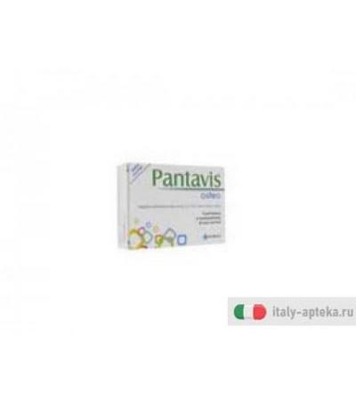 pantavis osteo