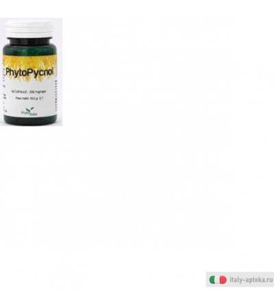 phytopycnol integratore alimentare composto da ippocastano, pinus pinaster soland, vitis vinifera.