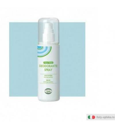 tea tree deodorante