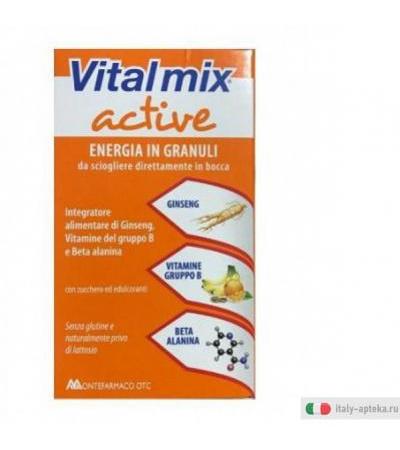 vitalmix active
