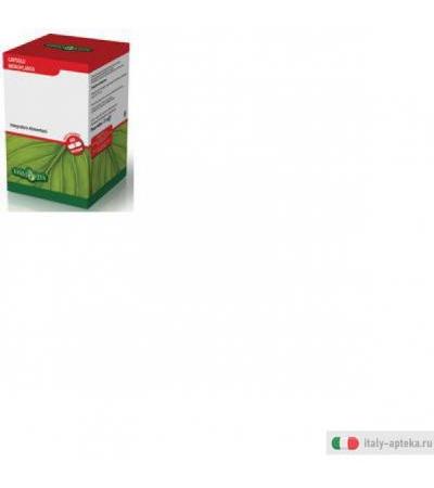 vite rossa ingredienti