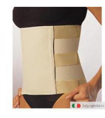 Addominal Cors 27cm 2