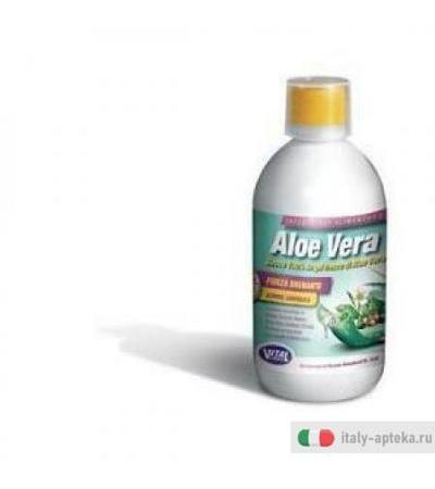 Aloe Vera Forza Dren 500ml