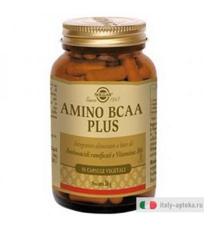 Amino Bcaa Plus 50cps