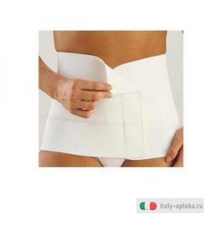 Anatomical 4 Cint Reg Bi 2