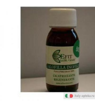 Calofilla Tamanu Olio Veg 100m